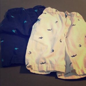 2 Pairs of Shark Shorts SZ 7 & 8